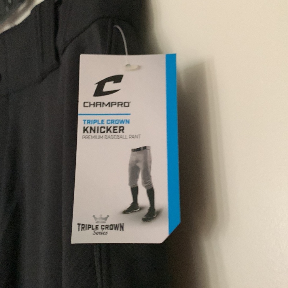 NWT champro baseball pant - Picture 2 of 4